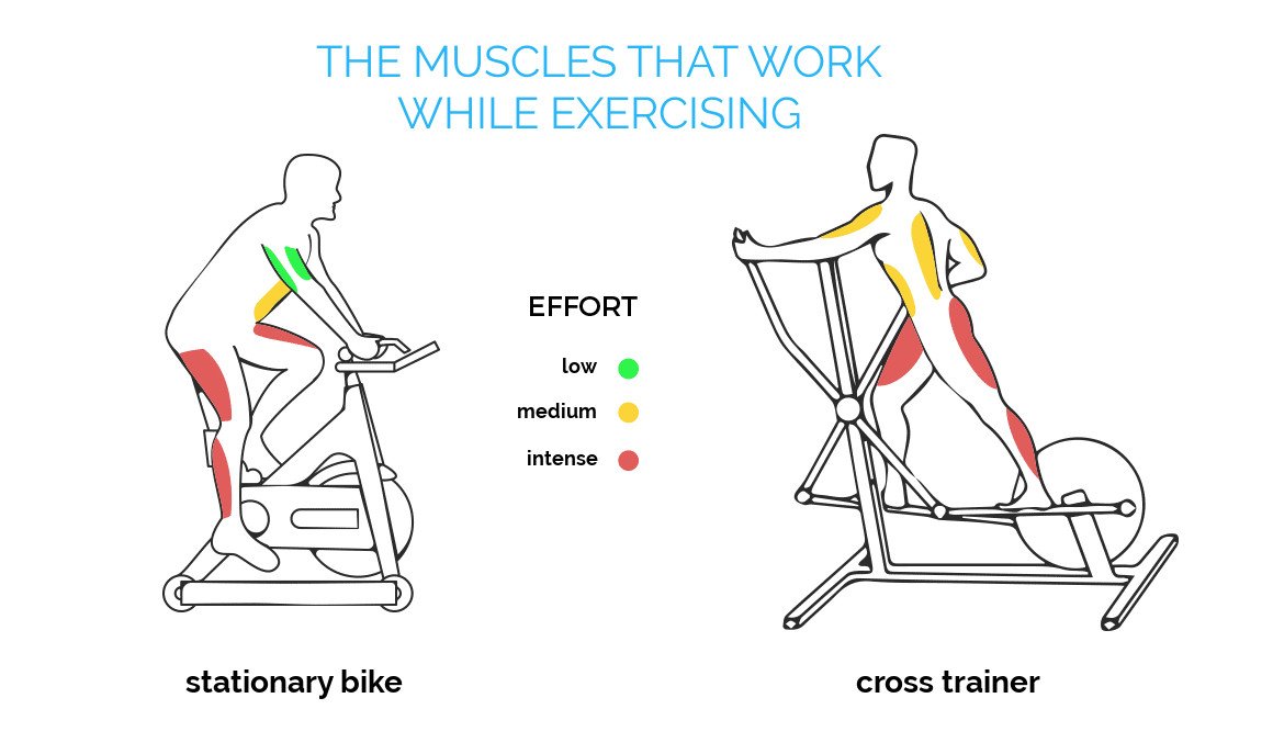 What Muscles Does the Upright Bike Work?