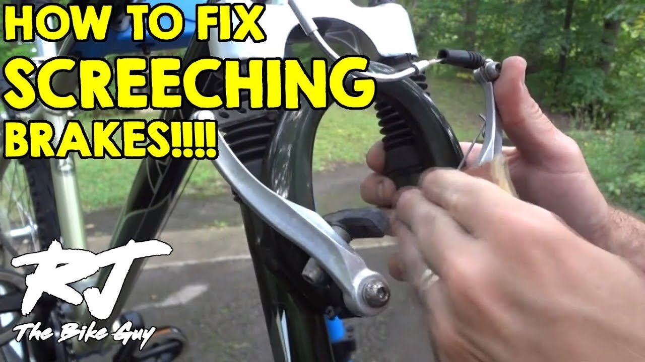 Why Do Bicycle Brakes Squeak?