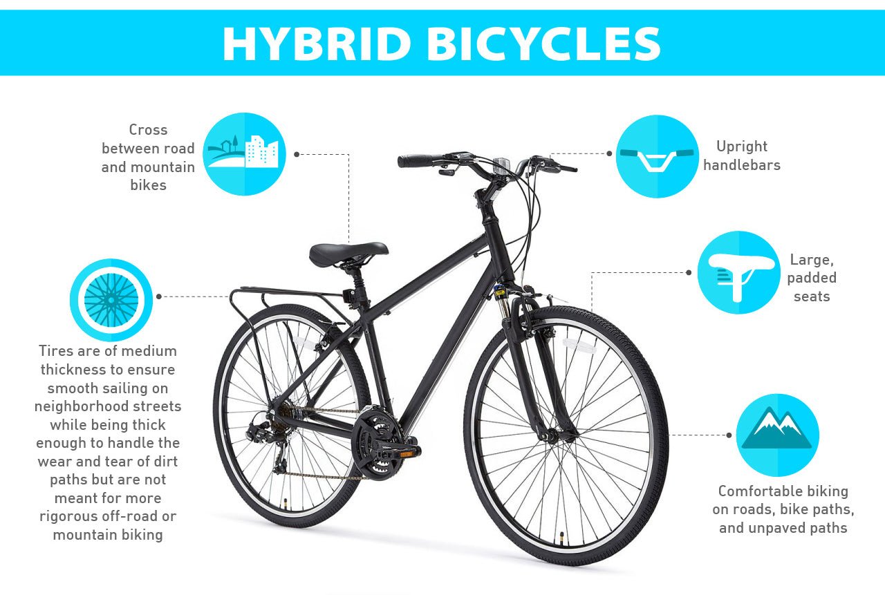 Comfort Vs Hybrid Bicycle: Choosing Your Perfect Ride